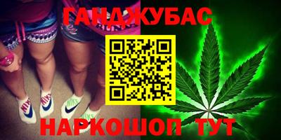 мяу мяу мука Гай