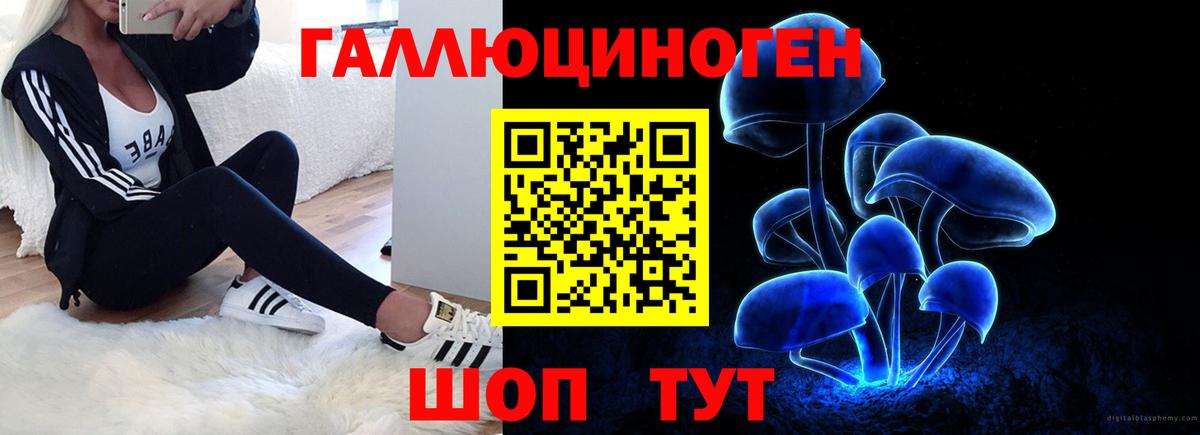 Псилоцибиновые грибы Psilocybe Орехово-Зуево
